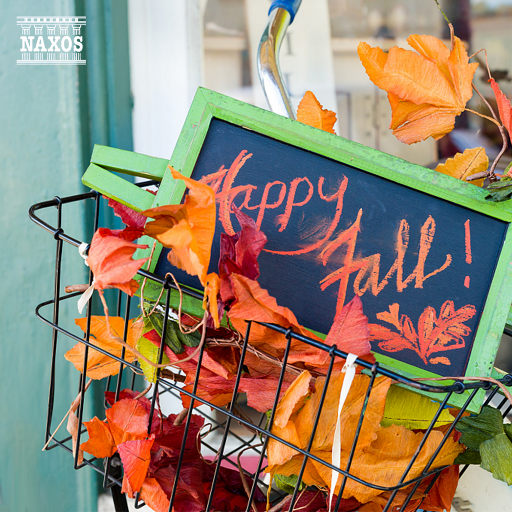 打屁屁黄片应用
